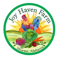 Joy Haven Farm